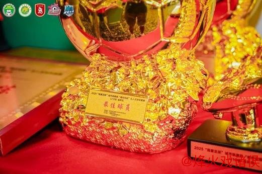 彭伟国评广州蒲公英:加大投入明年有望冲击甲级联赛 彭伟国评广州蒲公英:加大投入明年有望冲击甲级联赛