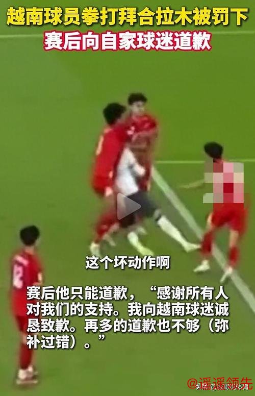 越南队范理德道歉