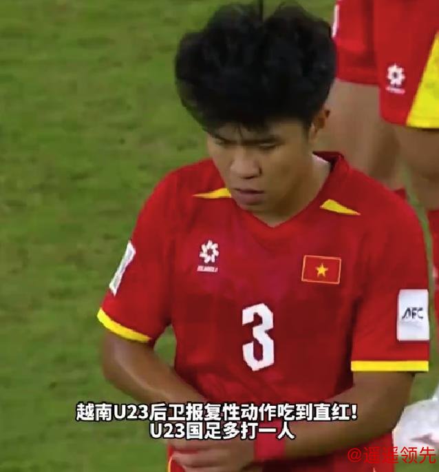 越南队范理德道歉